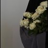 aan_4328