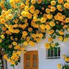 nournourelhouda23