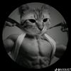 eduardofn6