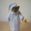 ratomatarolando
