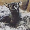 riverthechibaby