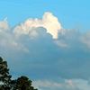 amy_epler68