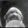 stolenxi