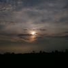 bitauriga