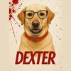 dexterthebalancingdog