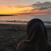 dian_2090