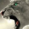 talha_chippa07