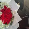 taif223344