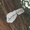 aanm_7