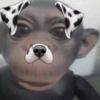 emliyrubi