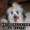 baquitotapacheco