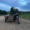brutto_shark