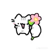 user24022006