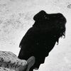 aysel.0617