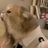meowthui_2468