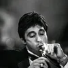 scarfacetonymontanareal
