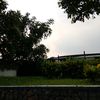 alwi_fr1