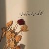 shakeelahmeds4