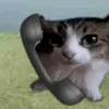saskxzr