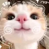 ttn_1101210