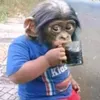 carlosjunior820