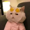 jjustp_