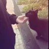 .e.k8