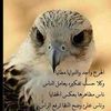 zidan788