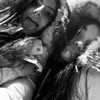 vviollax2