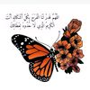 user74721477