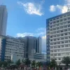 robetyna