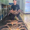 haisan247
