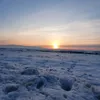 markorandjelovic4