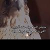 abuwalid733
