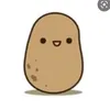 shyxx__6