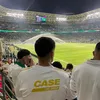 sp_igordz7