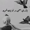 qwhv8