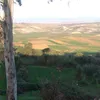 ghailaneelmslahi