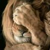 jeff_the_lion_king