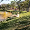reginaldoferrei03