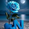 naglaaelsayed02