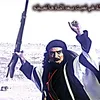 user976526066