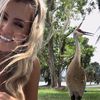 Carl the Crane & Friends