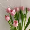 shelaprll