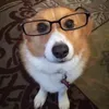 _bunthiuvcl