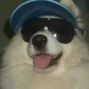 zzkof