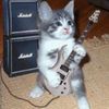 mal.1cious