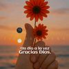 user11386776