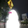 akunn20221