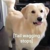 mrsquishynoodle